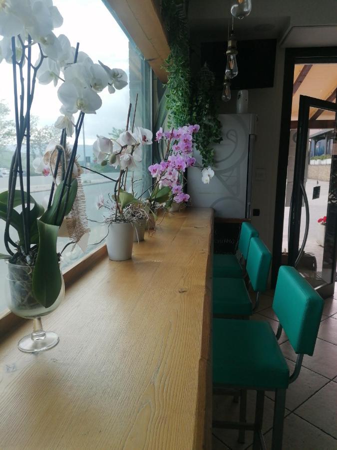 Albergo Le 2 Rose San Severino Marche Exterior foto